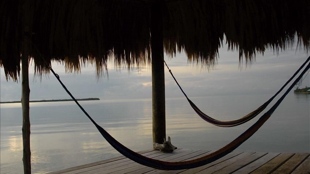 Photo of Others in Placencia