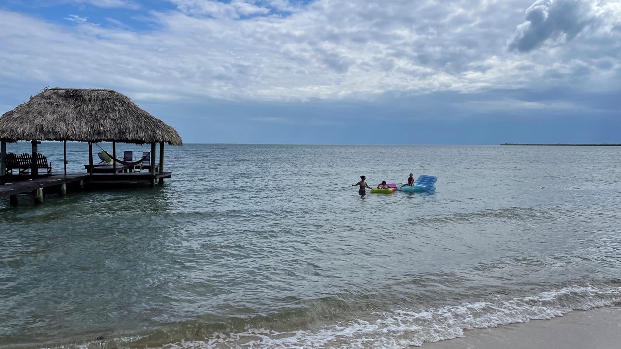 Photo of Others in Placencia