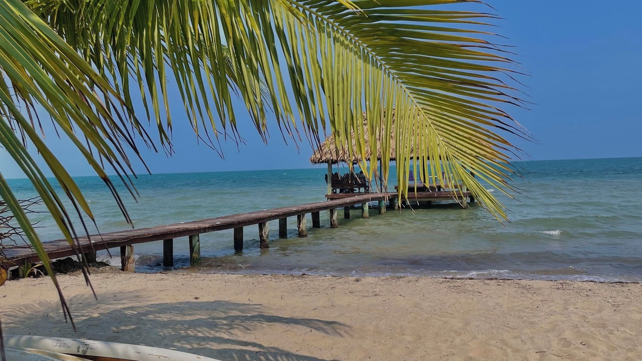 Photo of Others in Placencia