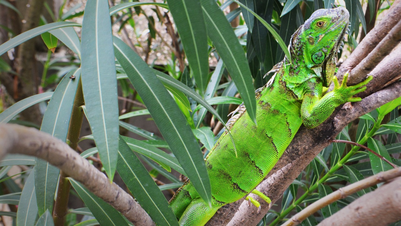 Photo of Outdoor in San Pedro