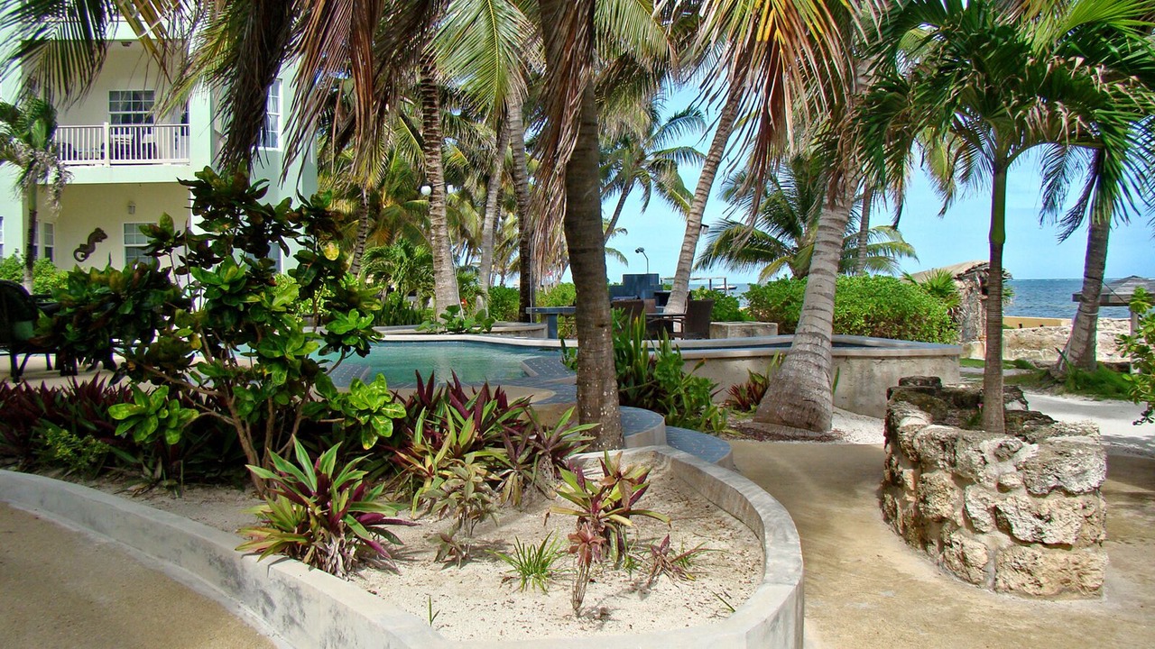 Photo of Outdoor in San Pedro