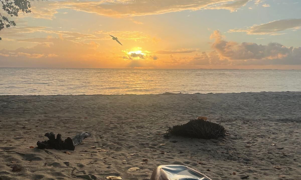 Photo of Others in Placencia