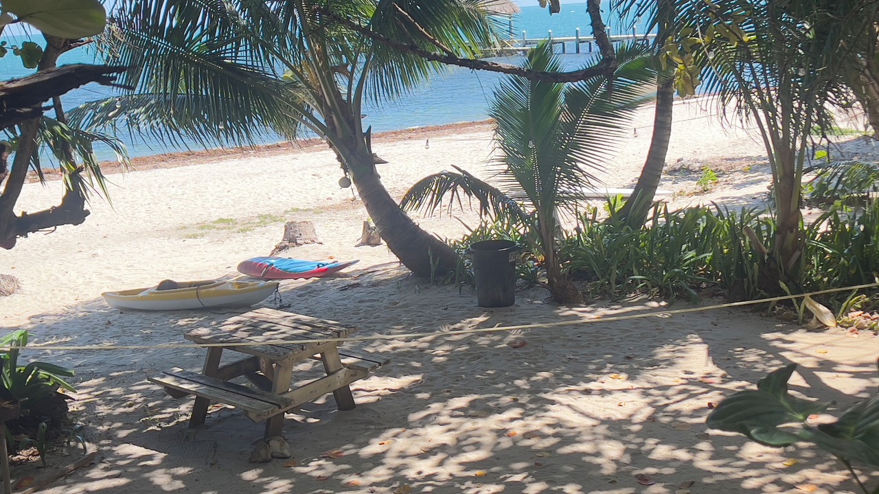 Photo of Others in Placencia