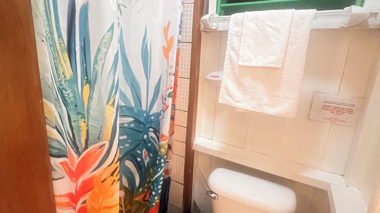 Photo of Bathroom in Placencia