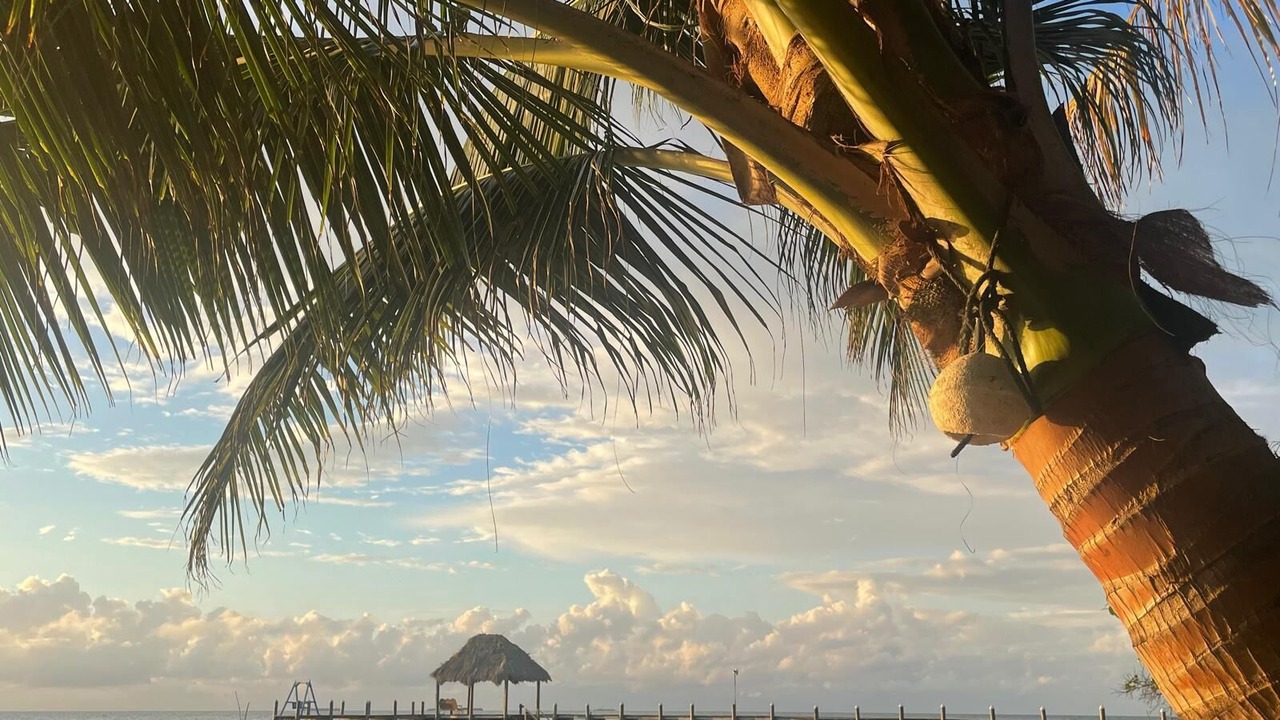Photo of Others in Placencia