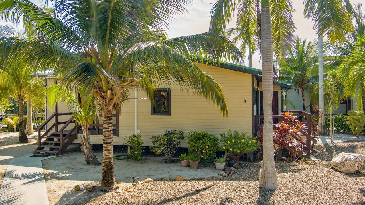Photo of Outdoor in Placencia