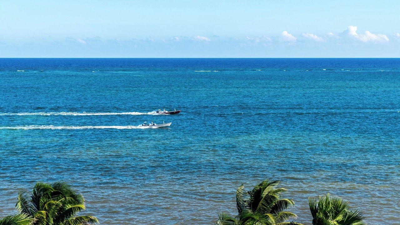 Photo of Others in San Pedro