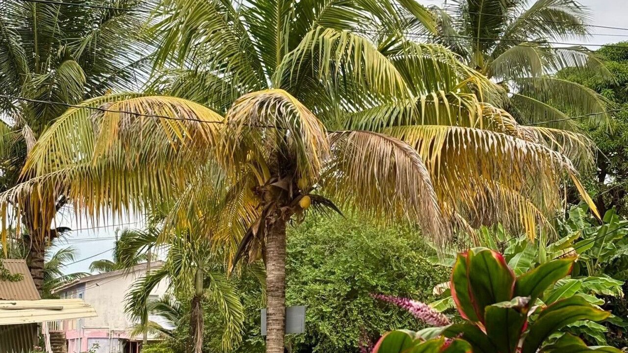 Photo of Outdoor in Hopkins