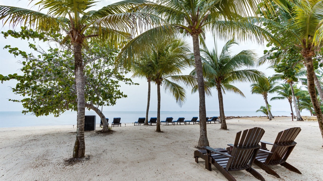 Photo of Others in Placencia