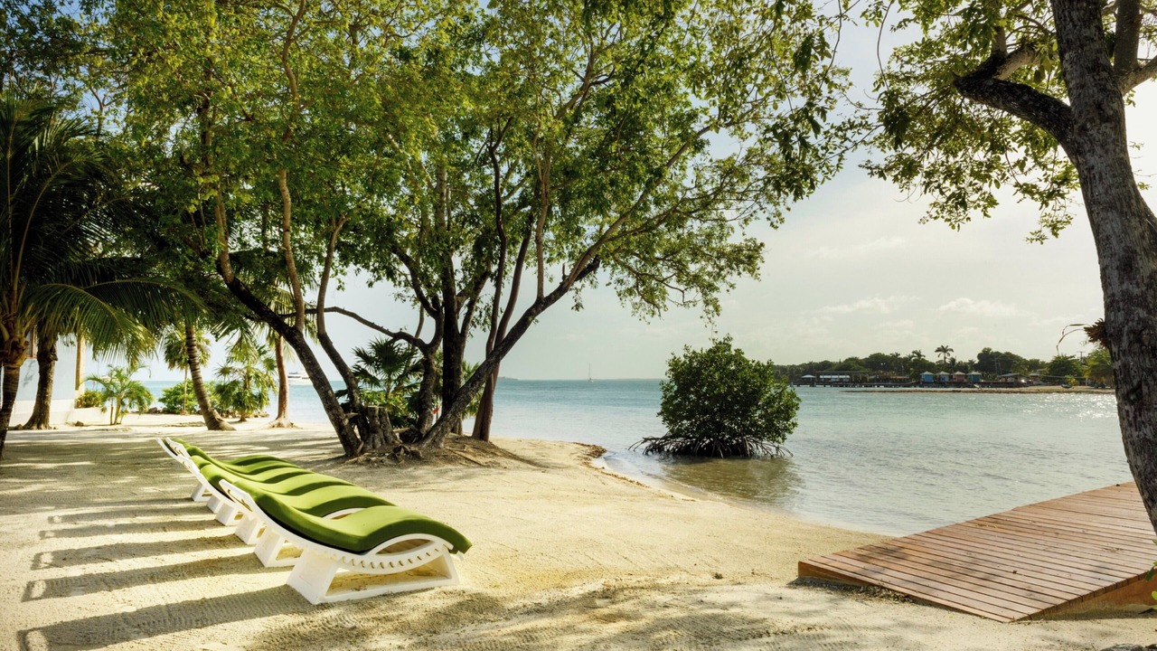 Photo of Others in Placencia