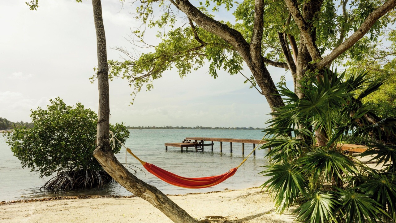 Photo of Others in Placencia