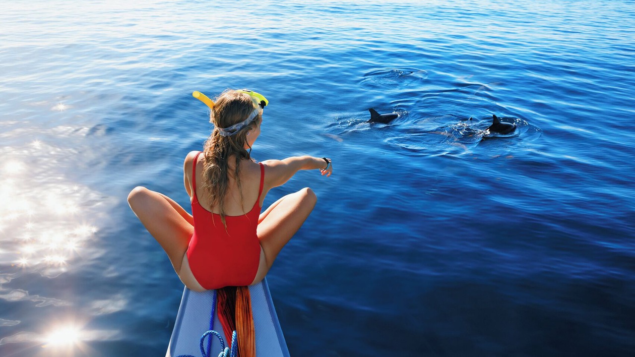 Photo of Others in Placencia