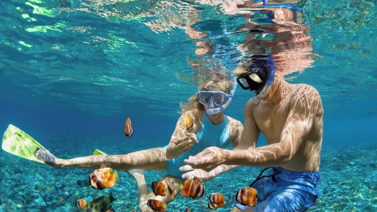 Photo of Others in Placencia