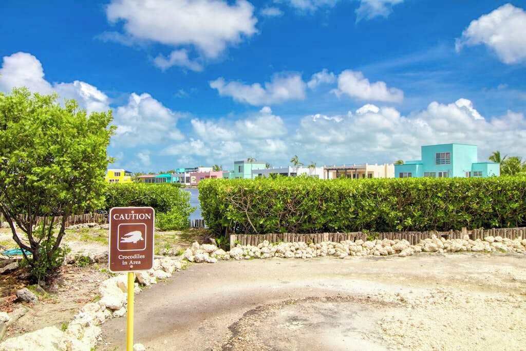 Photo of Outdoor in San Pedro
