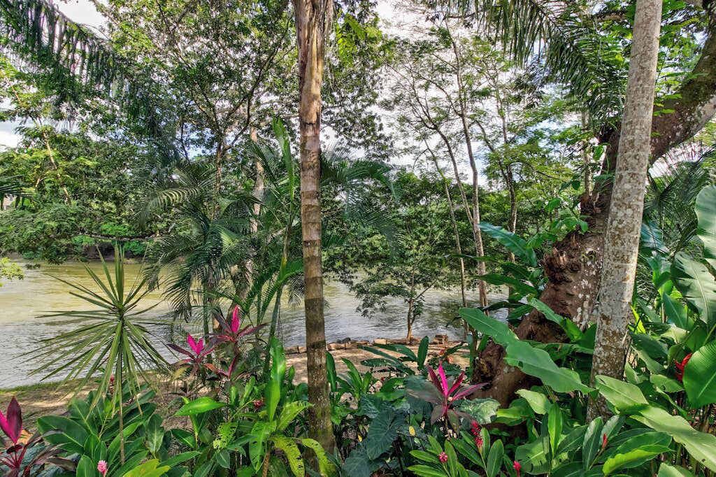 Photo of Outdoor in Bullet Tree Falls