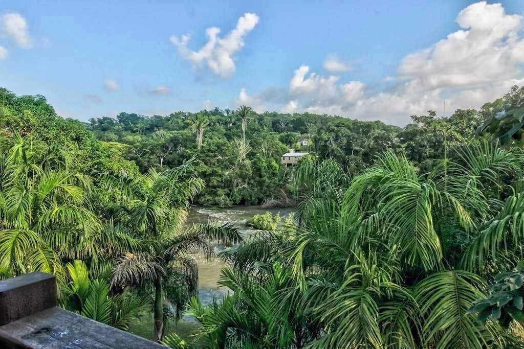 Photo of Outdoor in Bullet Tree Falls