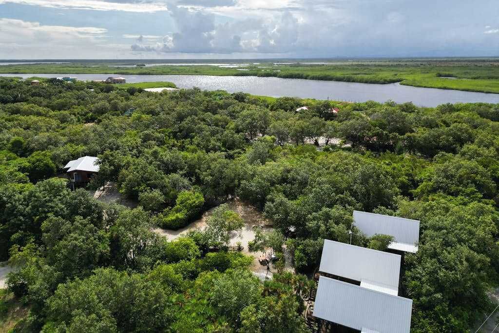 Photo of Outdoor in Surfside