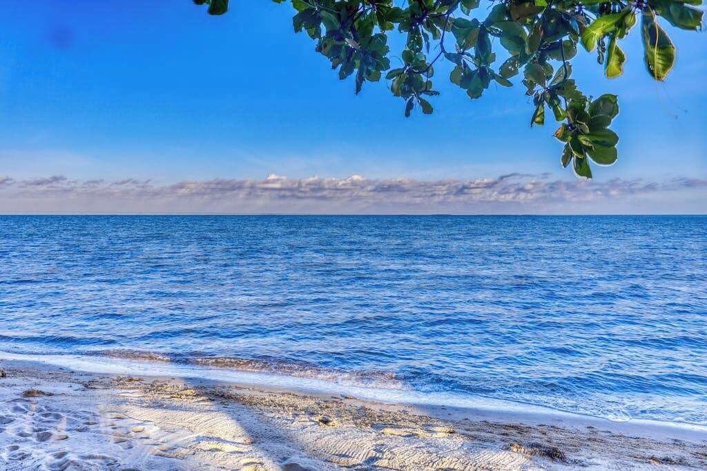 Photo of Others in Caribbean Way