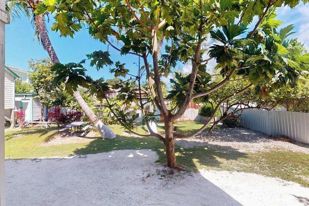 Photo of Outdoor in Caye Caulker