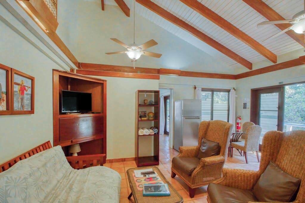 Photo of Livingroom in Placencia