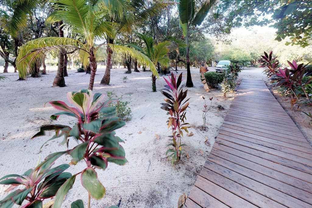 Photo of Outdoor in Placencia