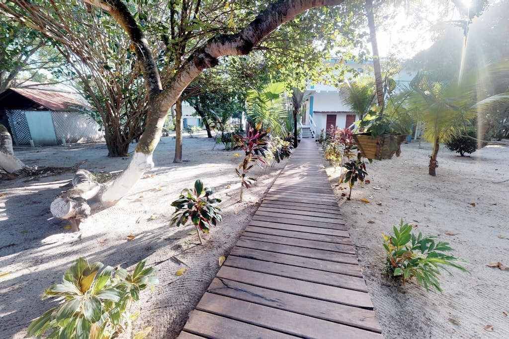 Photo of Outdoor in Placencia