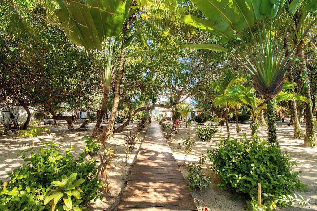 Photo of Outdoor in Placencia
