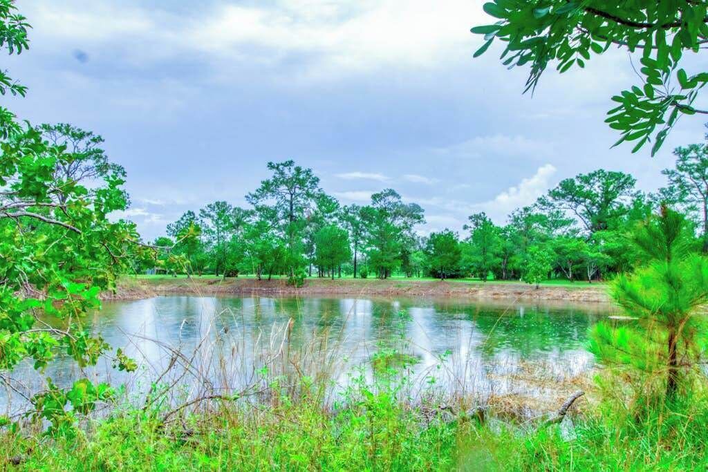 Photo of Others in Sanctuary Belize