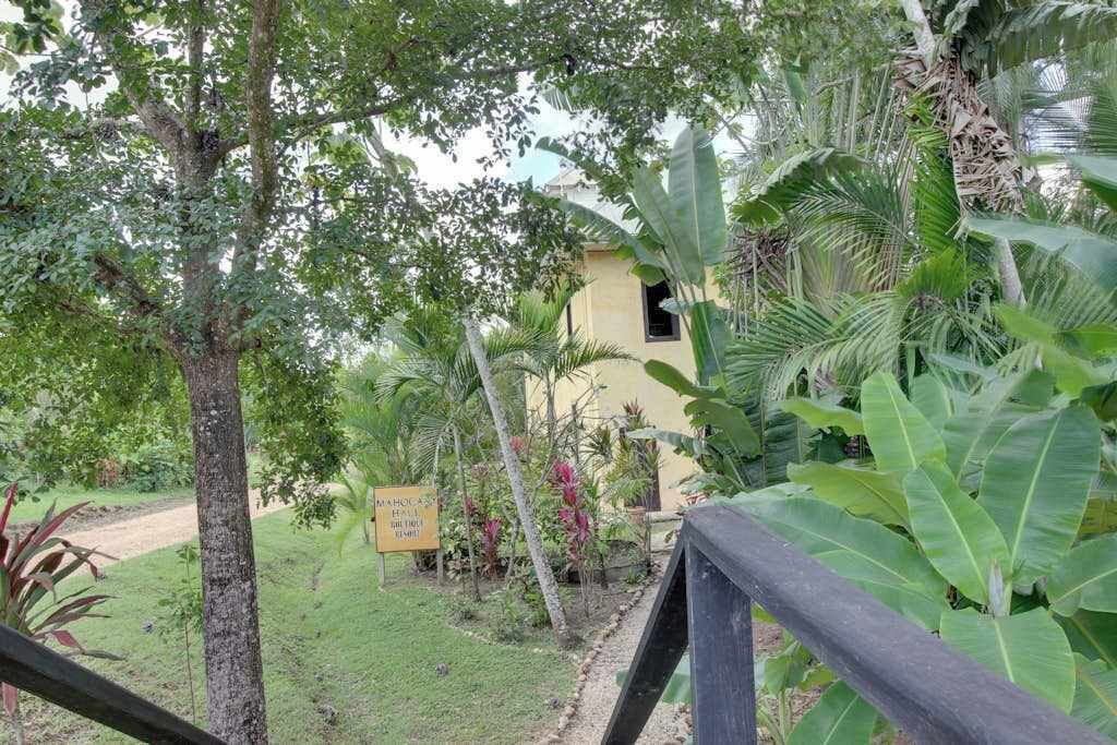 Photo of Outdoor in Bullet Tree Falls