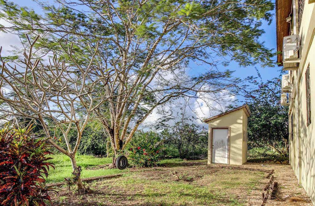Photo of Outdoor in San Ignacio