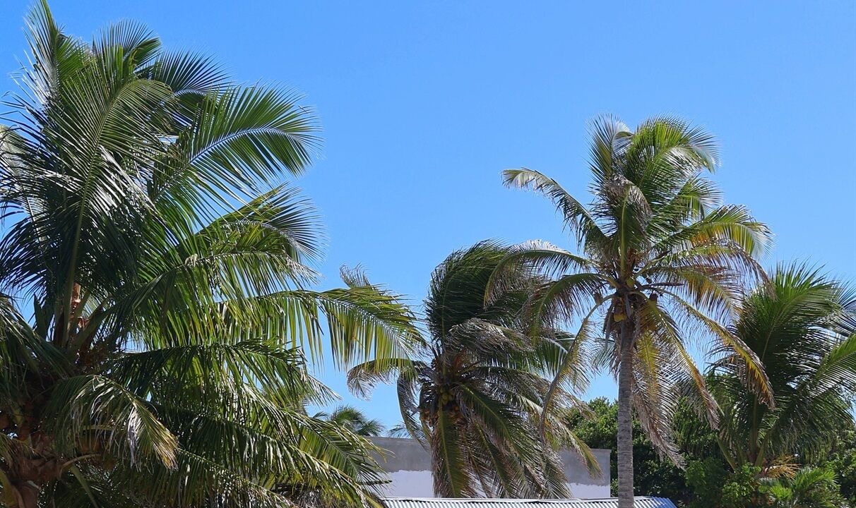 Photo of Outdoor in San Pedro