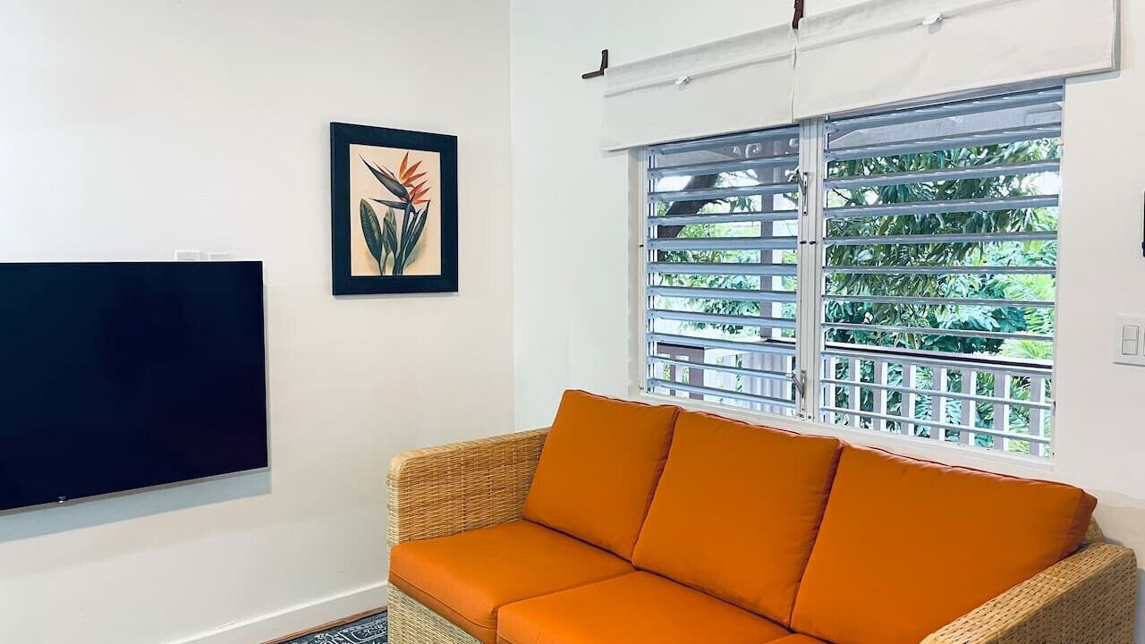 Photo of Livingroom in Placencia