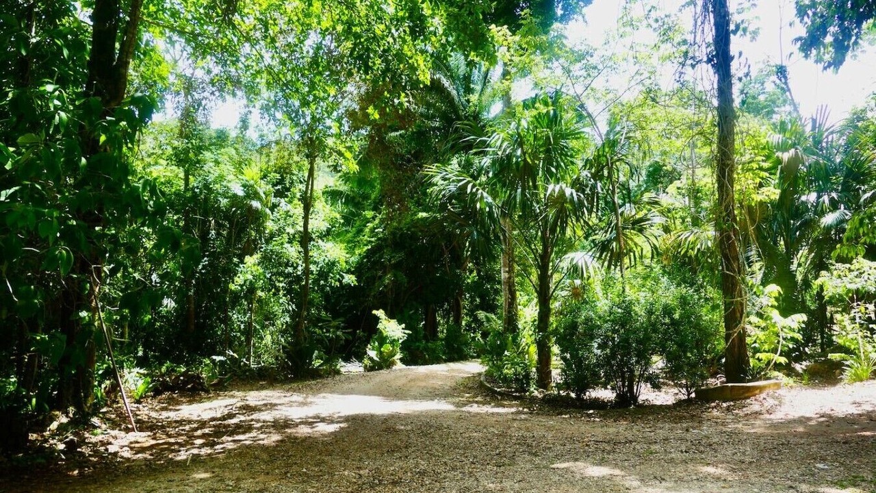 Photo of Outdoor in San Antonio