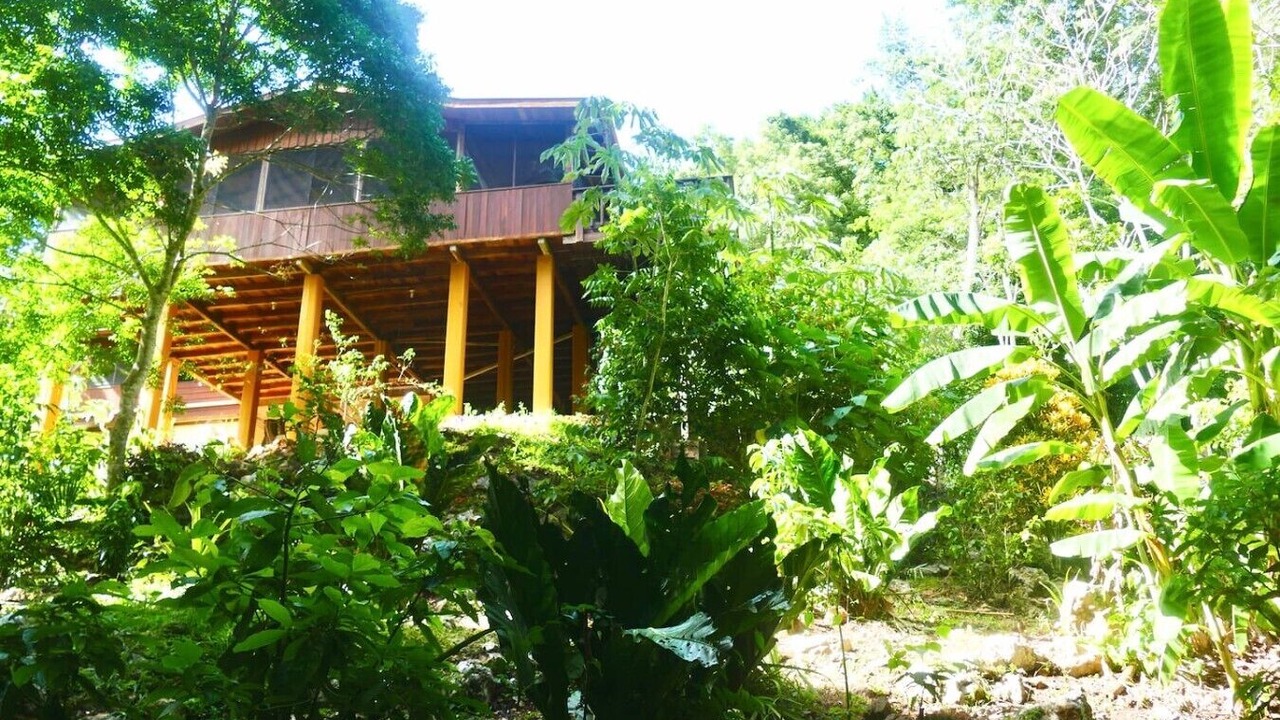 Photo of Outdoor in San Antonio