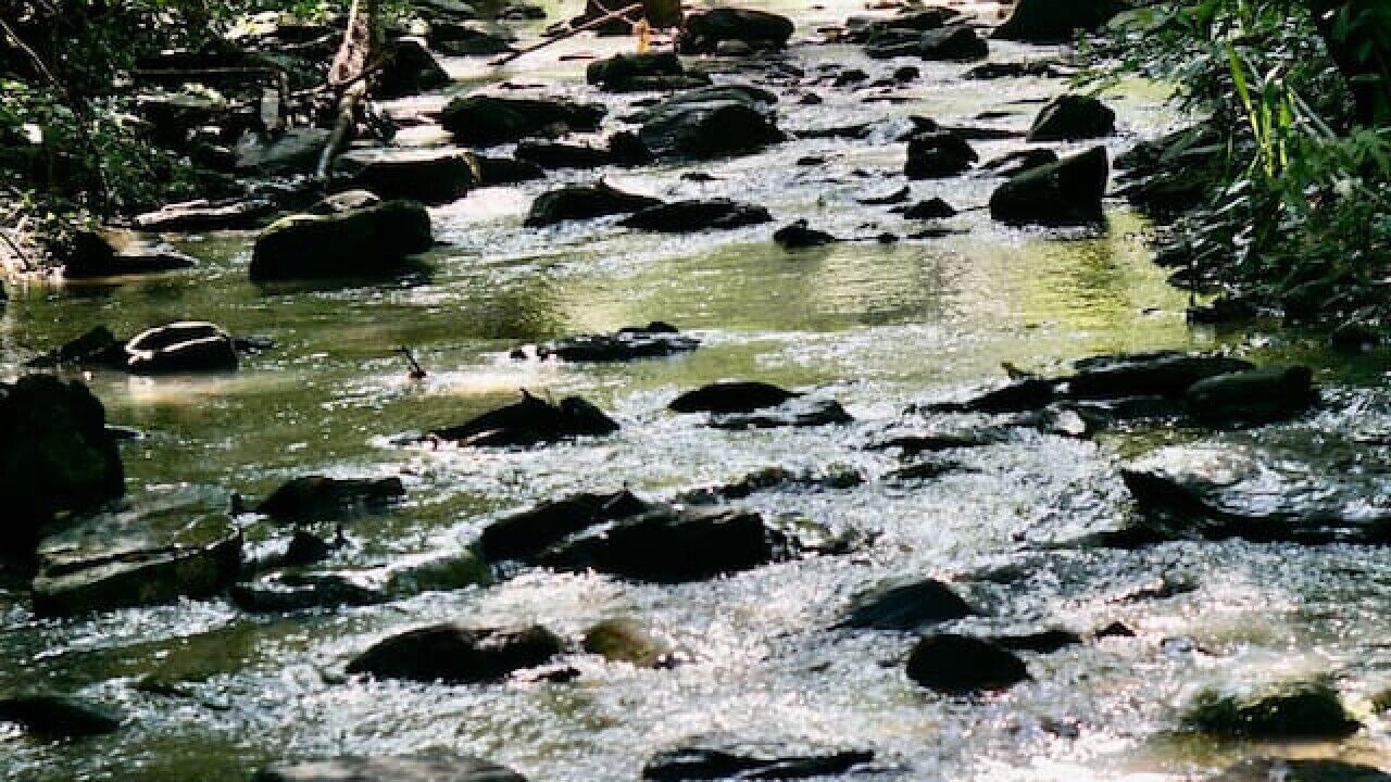 Photo of Others in San Antonio