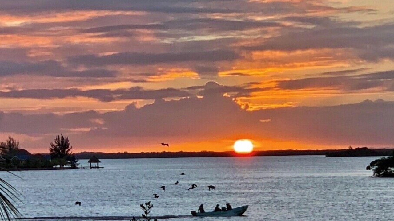 Photo of Others in Placencia