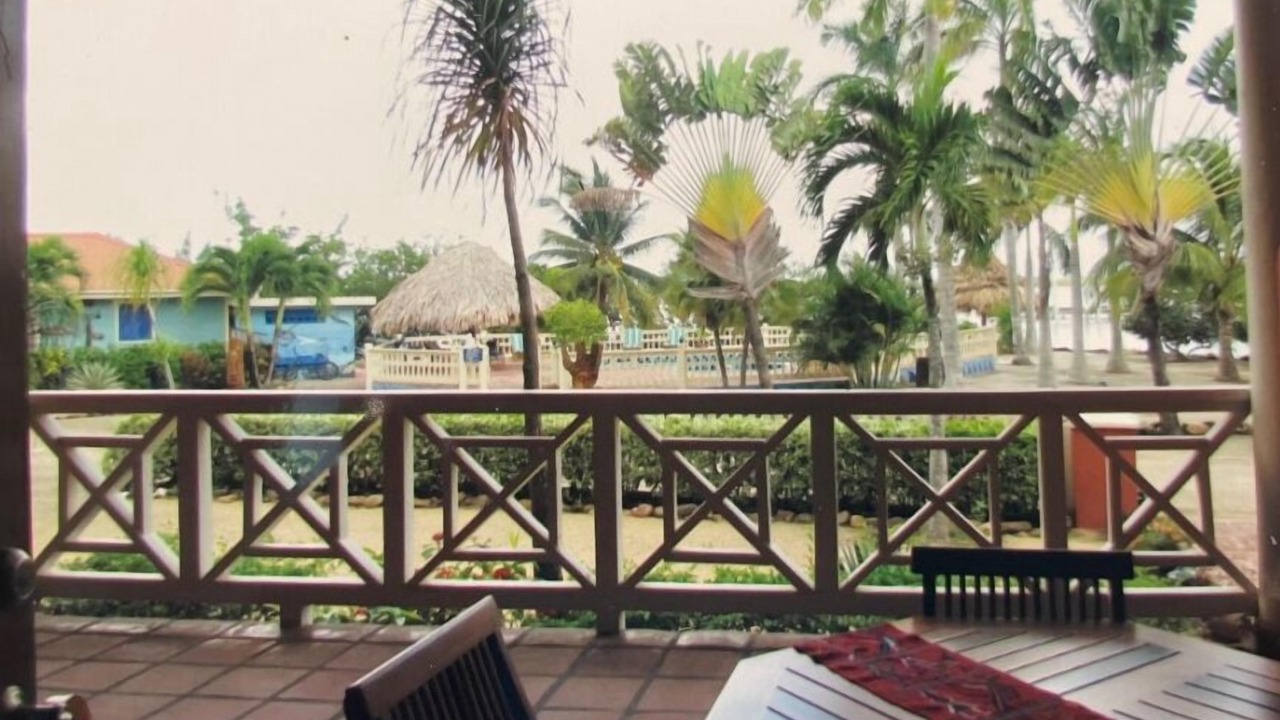 Photo of Outdoor in Placencia
