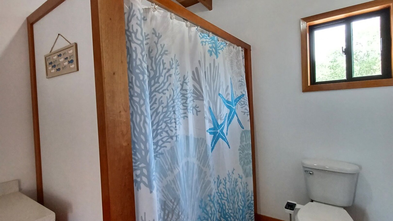 Photo of Bathroom in Placencia