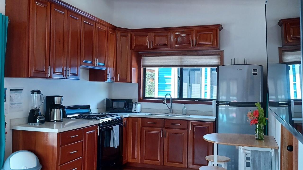Photo of Kitchen in Placencia
