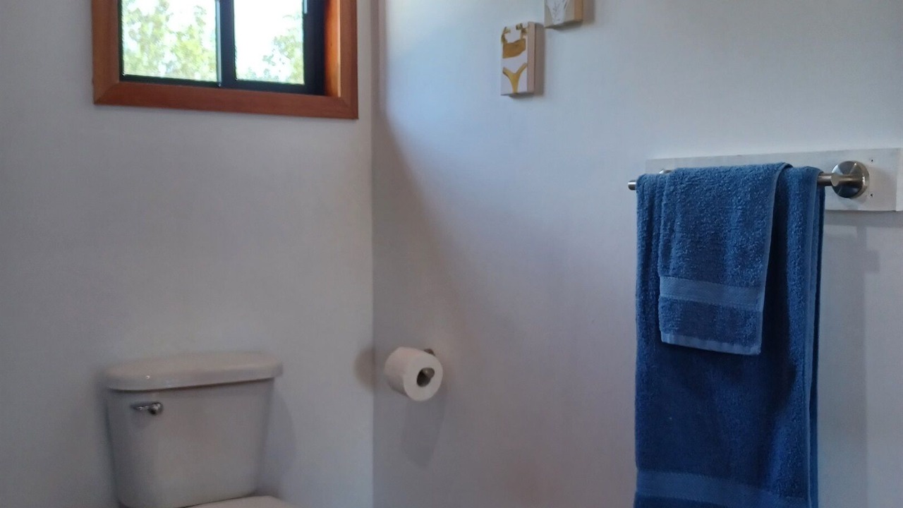 Photo of Bathroom in Placencia