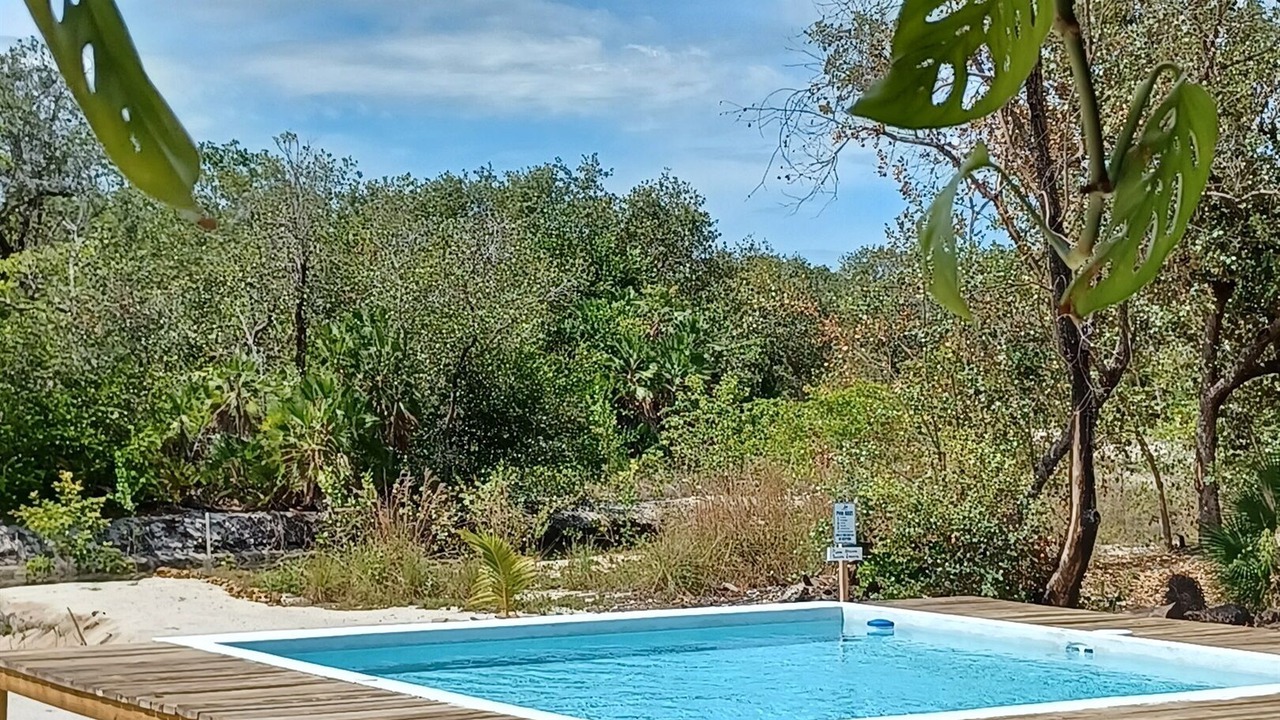 Photo of Outdoor in Placencia