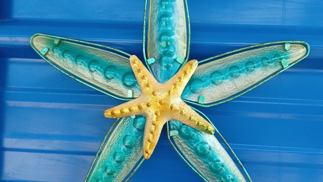 Photo of Others in Placencia