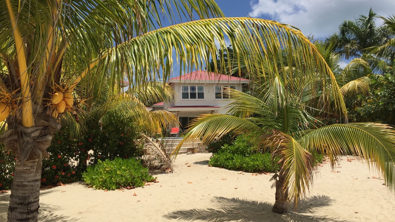 Photo of Outdoor in Placencia