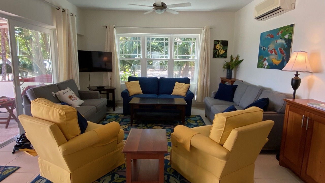 Photo of Livingroom in Placencia
