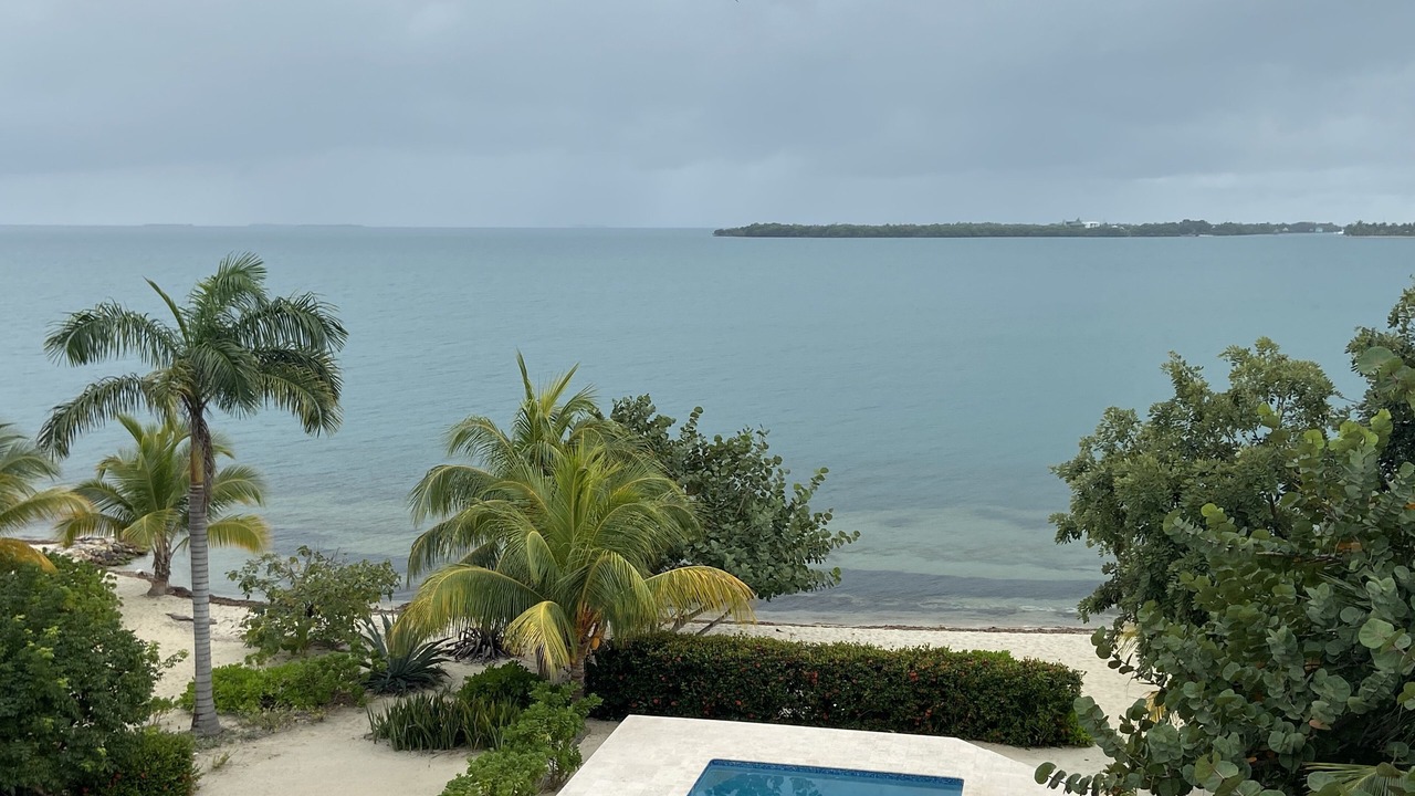 Photo of Others in Placencia