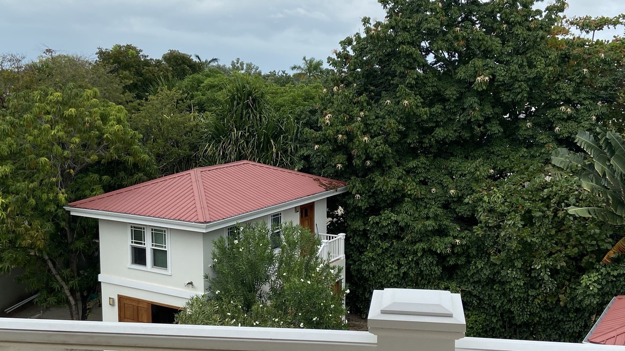 Photo of Others in Placencia