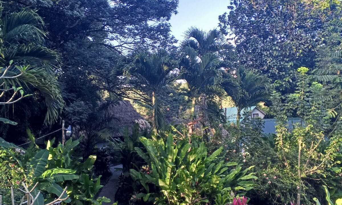 Photo of Outdoor in San Ignacio