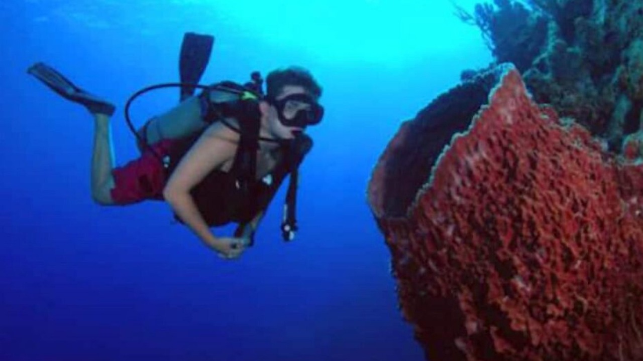 Photo of Others in San Pedro