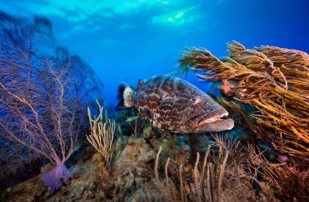 Photo of Others in San Pedro