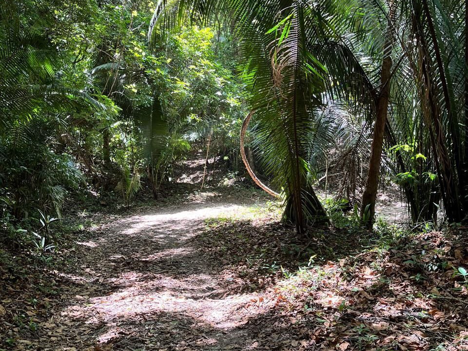 Photo of Others in San Ignacio